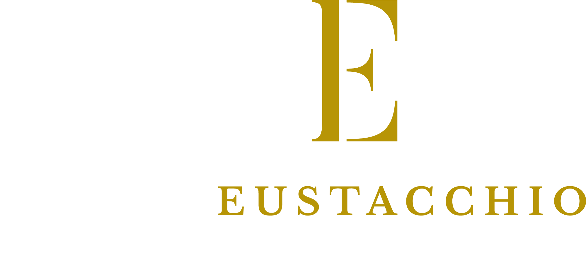 Mario Eustacchio Logo